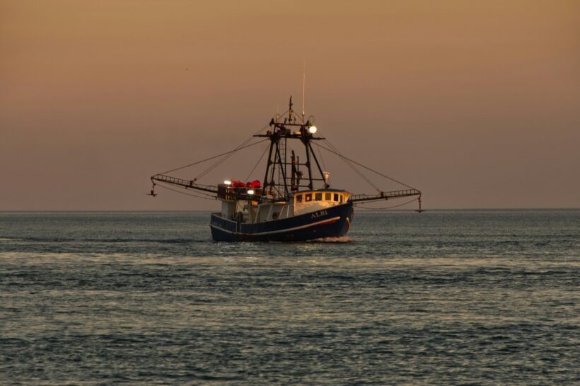 South Carolina Senate Advances Shrimp Labeling Bill Amid Industry Debate